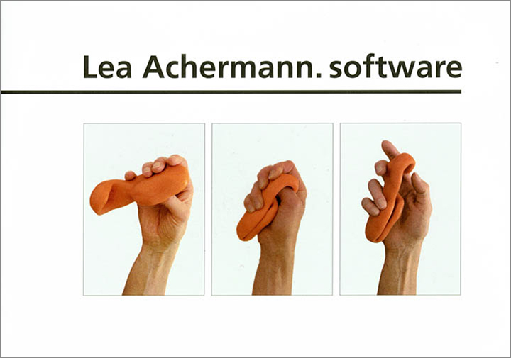 Lea Achermann (Luzern/CH). Software (Multiples)