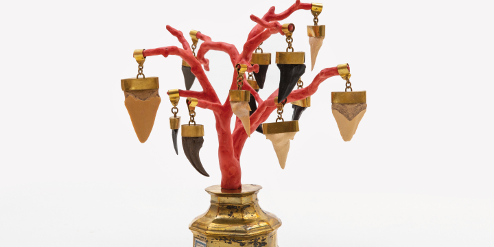 Mark Dion, Blood Coral, 2011, Kunstharz-Korallenbaum/ fossile Original-Haizähne/Bärenkralle, Sammlung Gerhard Theewen